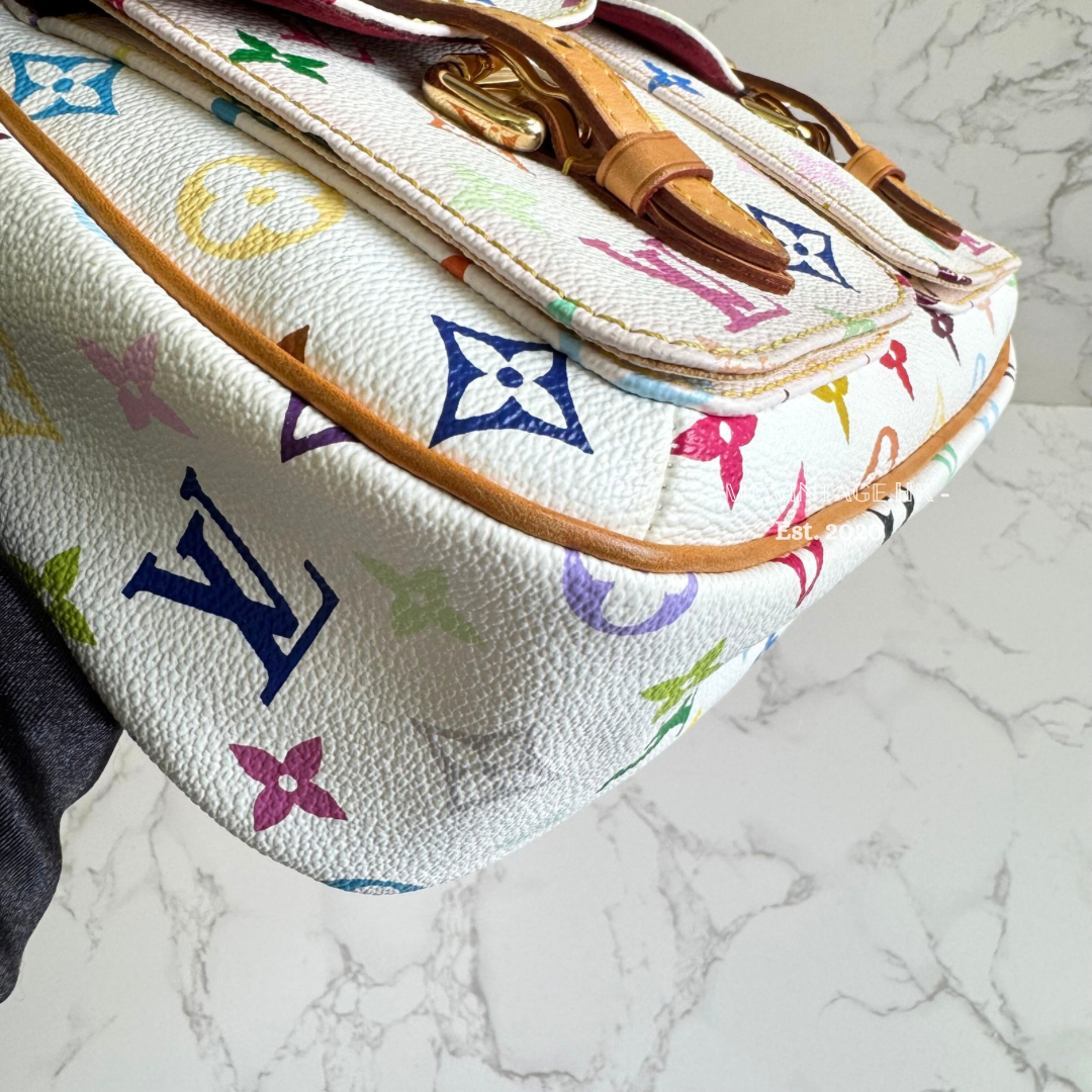 Louis Vuitton Multicolour PM Shoulder Bag