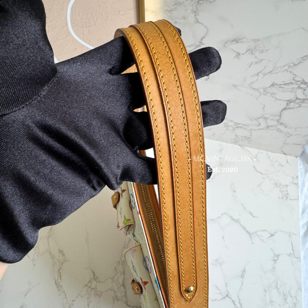 Louis Vuitton Multicolour PM Shoulder Bag