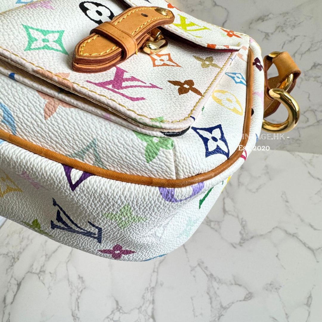 Louis Vuitton Multicolour PM Shoulder Bag