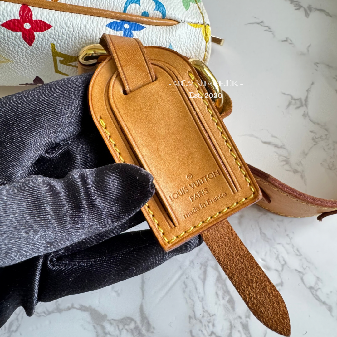 Louis Vuitton Multicolour PM Shoulder Bag