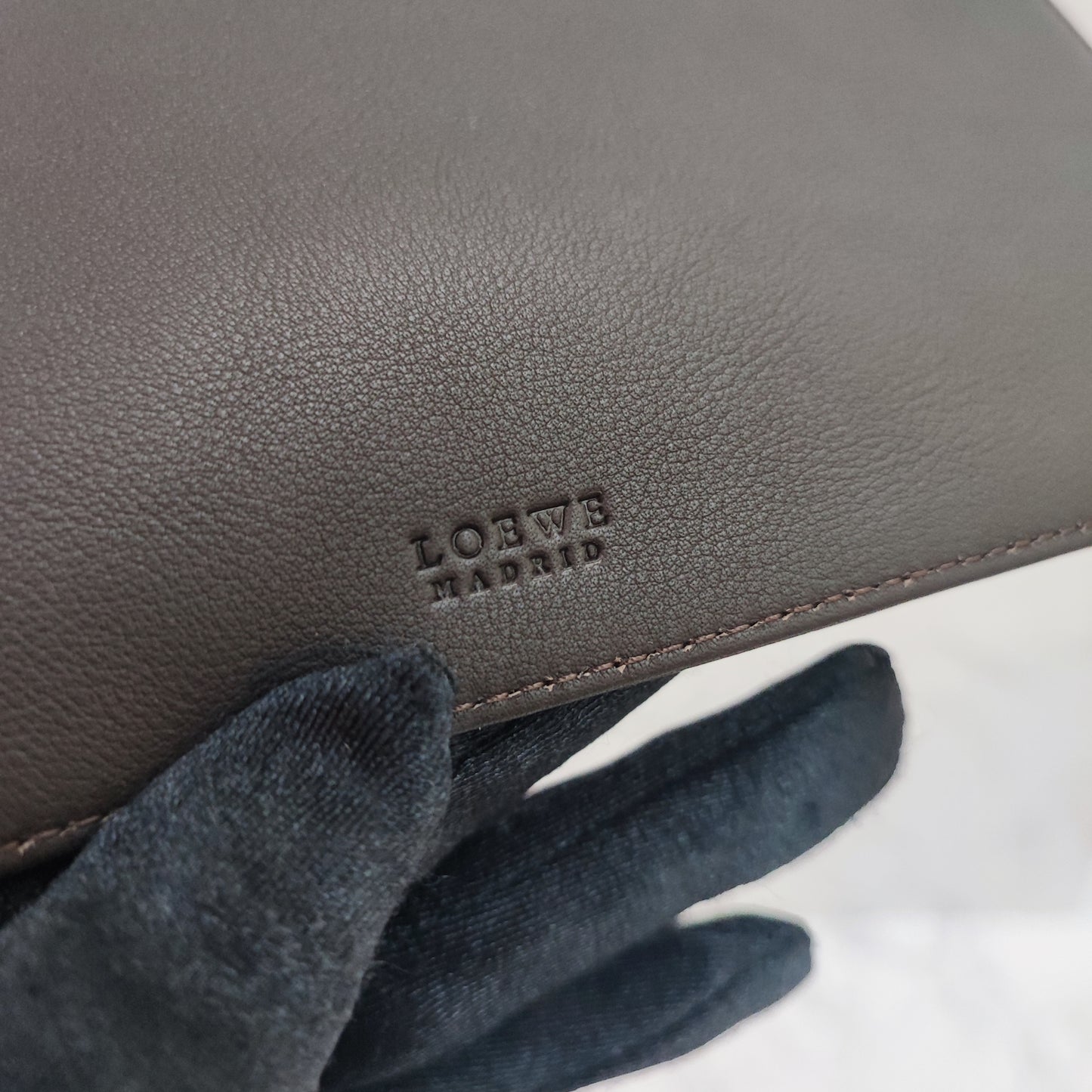 LOEWE Suede Pouch